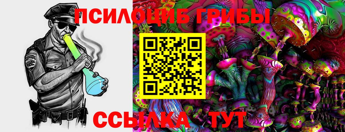 Псилоцибиновые грибы GOLDEN TEACHER  Галлюциногенные грибы ЛСД  где купить наркоту  Вход с VPN  Белореченск 